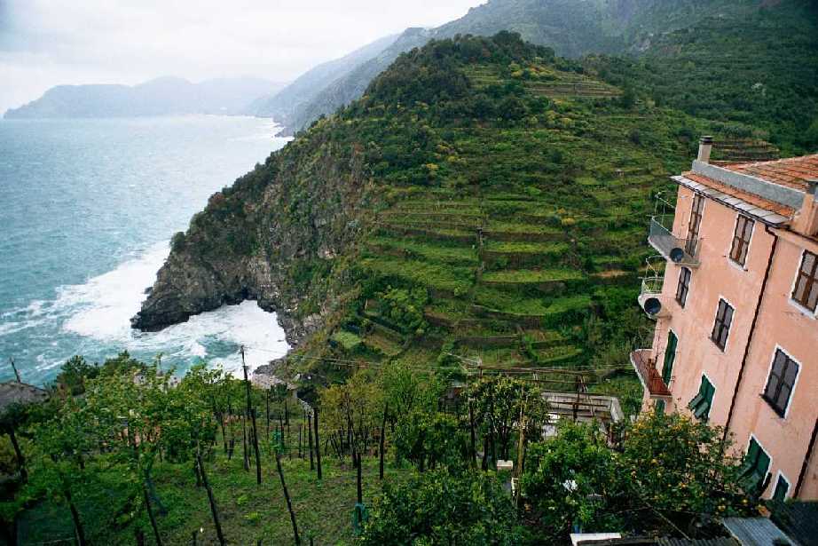 Blick Corniglia - Punta Mesco   b13cor4.jpg