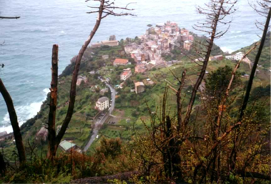 Corniglia   b14cor.jpg