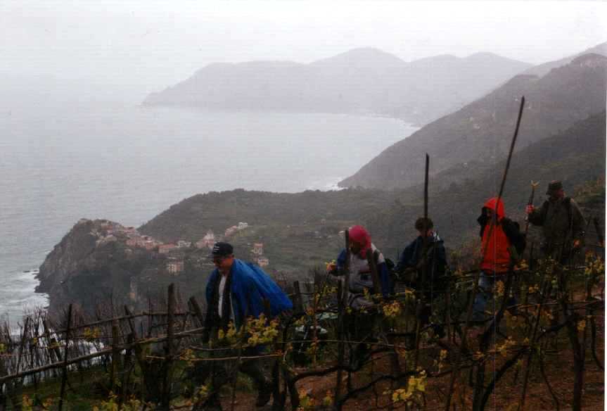 Blick Corniglia - Punta Mesco   b14cor1.jpg