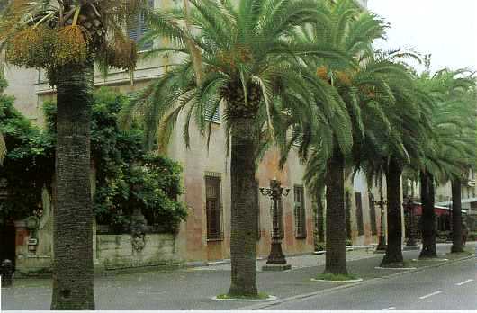 Sestri Levante   17sele1.jpg