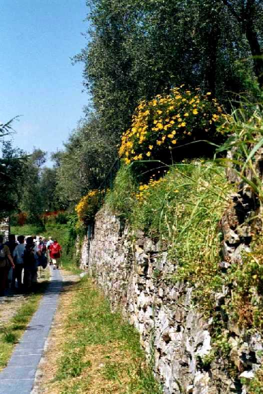 Wanderweg - Lavagna   b17wan1.jpg